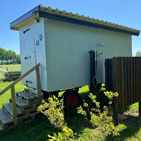Blauer Wagen Im Gruenen