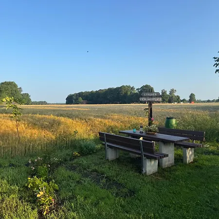 Blauer Wagen Im Gruenen Campsite