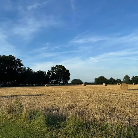 Blauer Wagen Im Gruenen Bassum